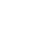 FIP icon